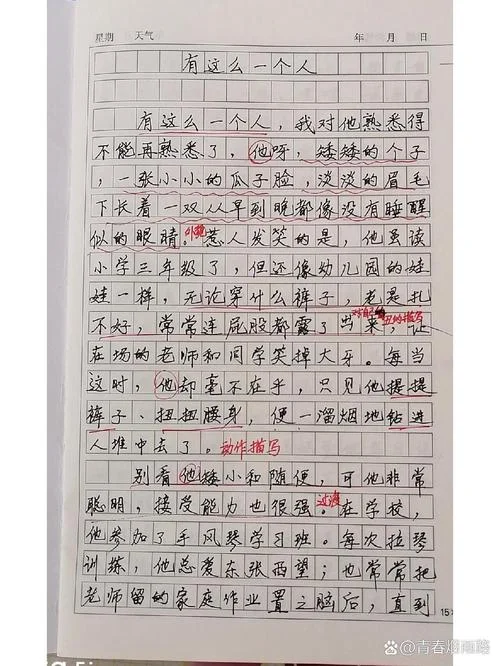 人物描写作文批改评语-人物描写评语修改
