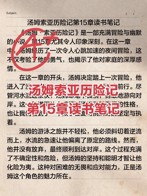 汤姆·索亚历险记读书笔记摘抄及感悟_1