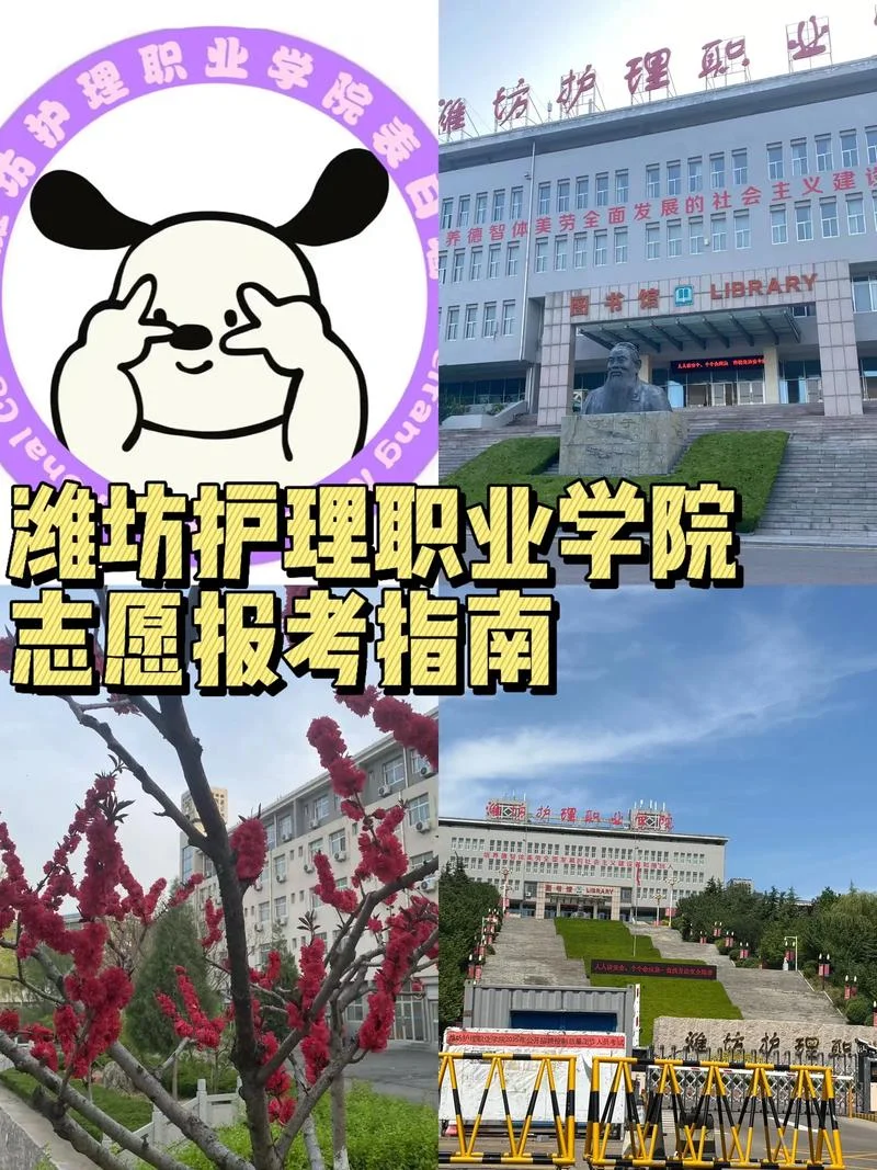 潍坊职业学院怎么样-潍坊职业学院口碑评价