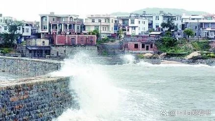 梦见海水涨潮把路都淹没了_2