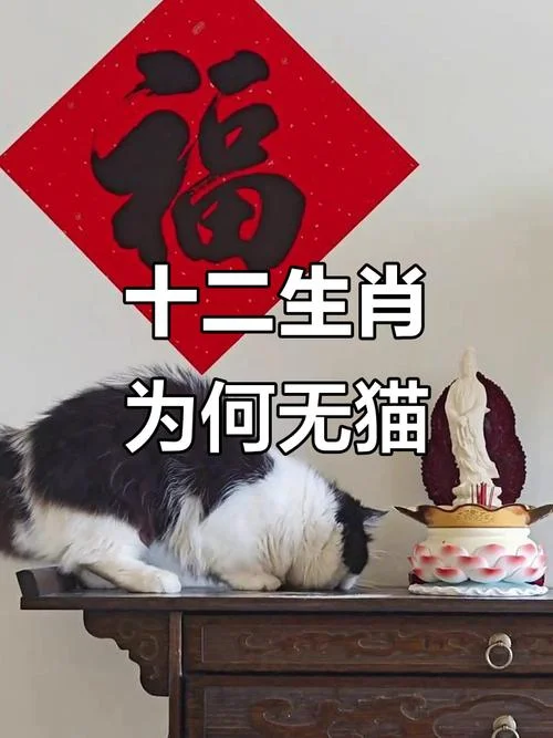为啥十二属相没有猫_1