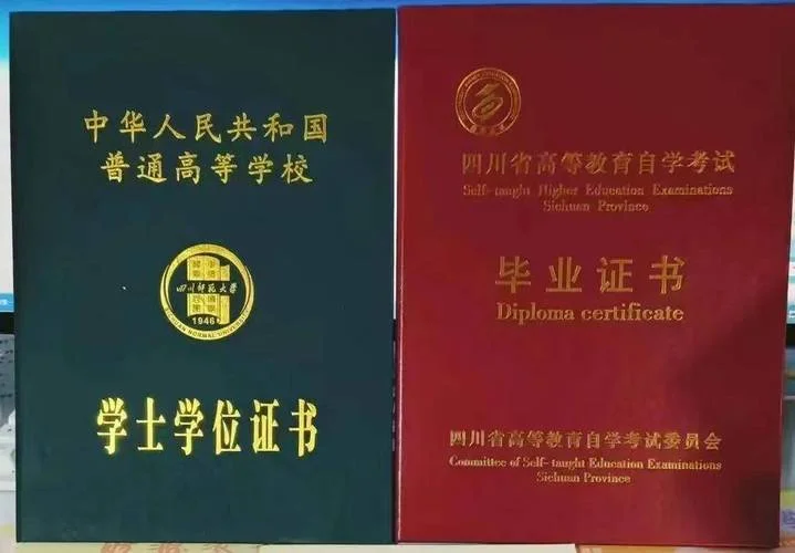 本科学历证书编号查询_2