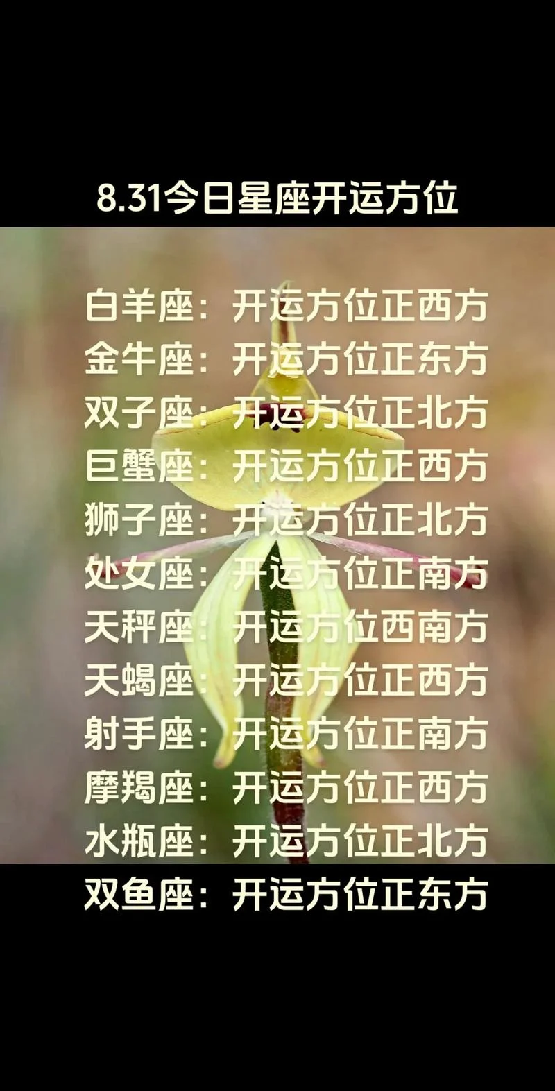 2019运势好的星座-2019 好运势星座