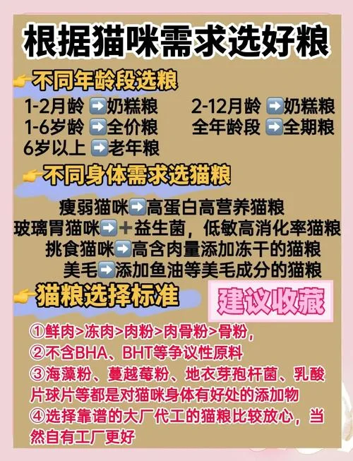 什么是猫粮_1