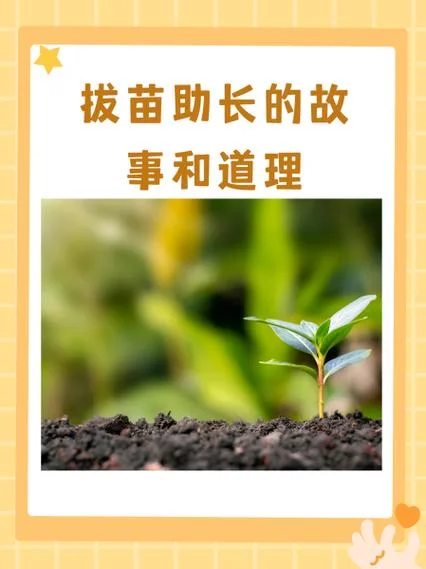 拔苗助长的道理40_2