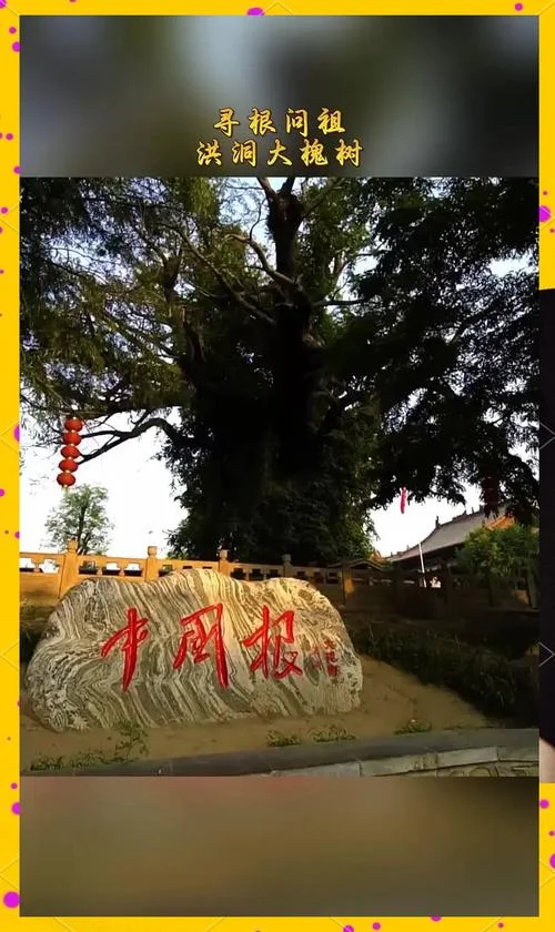 山西大槐树搬迁历史-山西大槐树搬迁历史