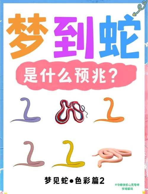 梦见家里有蛇被咬-梦被蛇咬醒家里