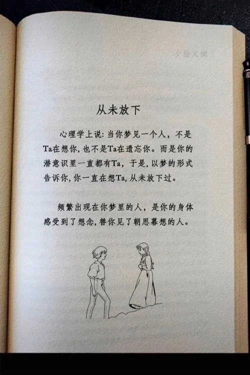 梦见他了-梦中重现他的身影