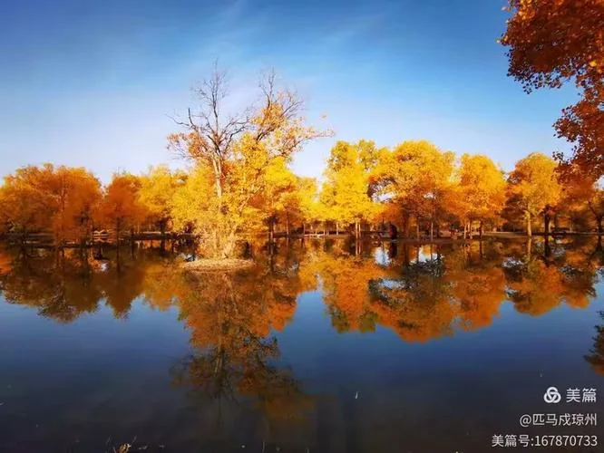 与有荣焉幸甚至哉出处_1