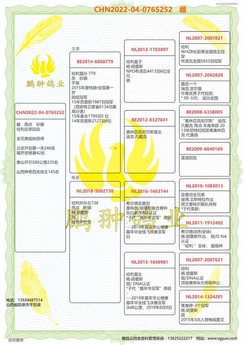 搜鸽天下信鸽成绩查询系统_2
