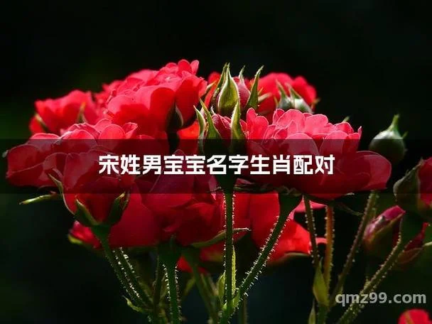 宋姓男宝宝起名鼠宝宝_2