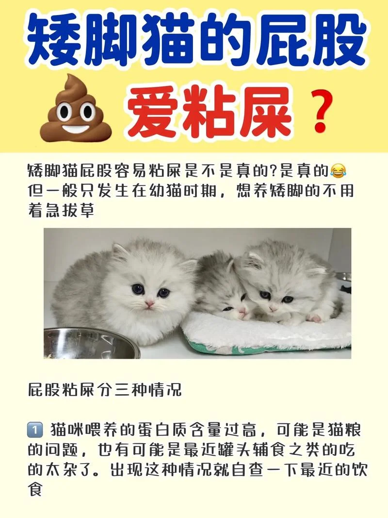 梦见屁股上沾屎别人_2