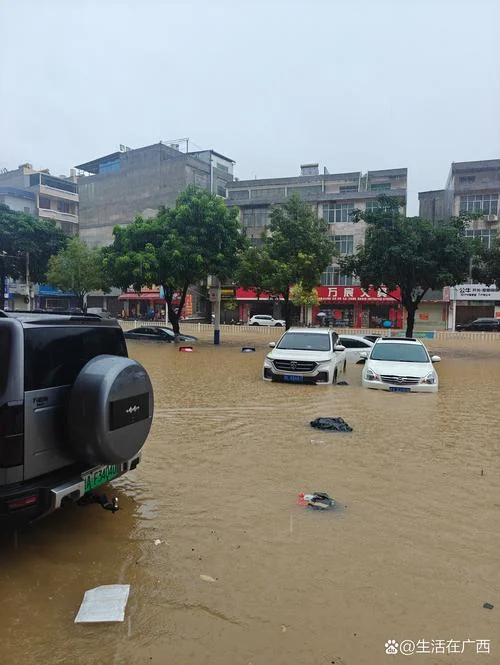 梦见平地发洪水被淹_2