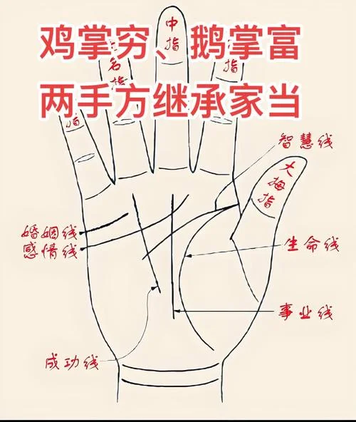 面相手相图解_1