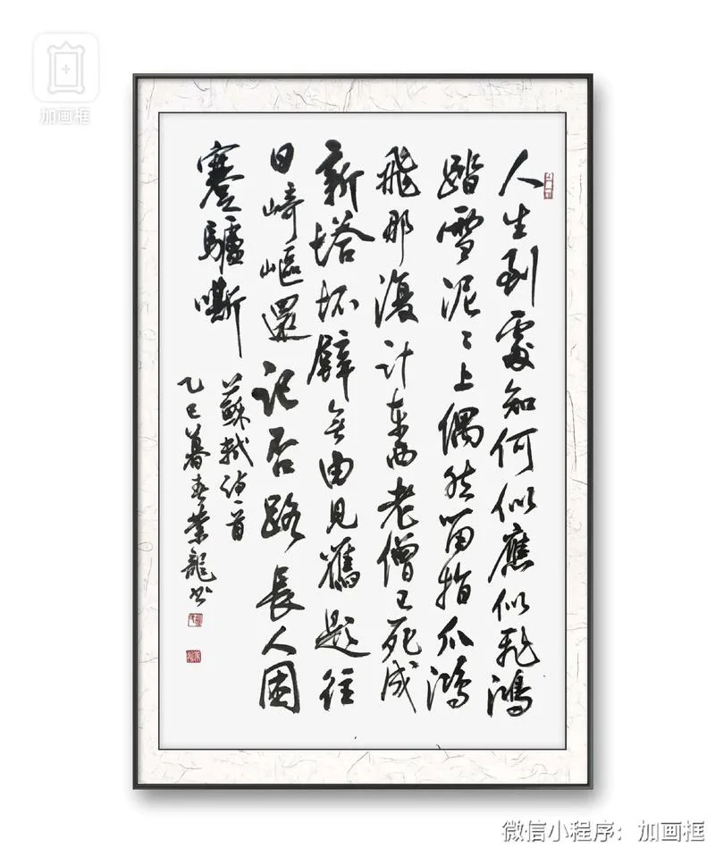 飘飘何所似作者是谁_1