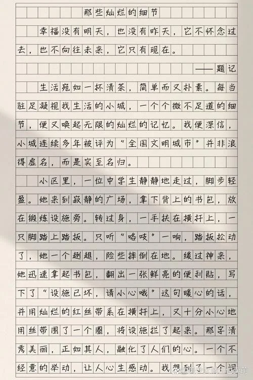 关于细节的议论文_2
