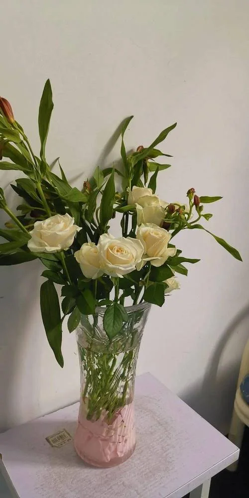 梦见有人送花苗-