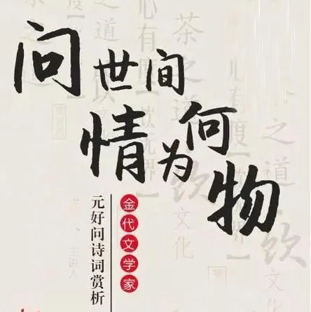 情为何物下一句什么_2