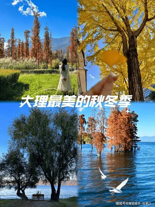 云南双飞双人六日游报价-云南双飞六日游报价