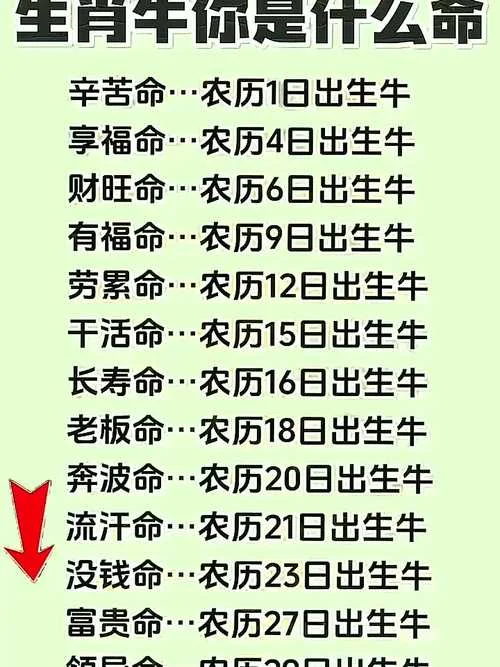 属牛的人在2022年运势-属牛人在 2022 年运势