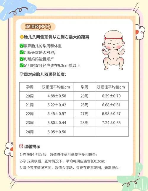 牙齿全面检查有哪些项目_1