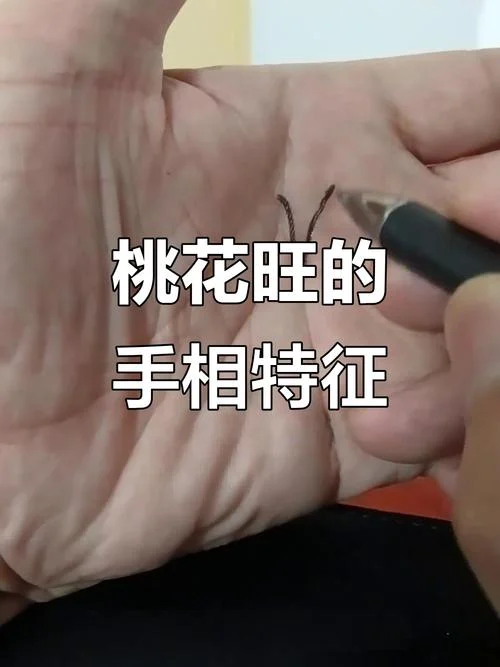 看手相桃花多怎么办-看手相桃花多化解