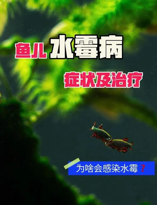 对鱼过敏的症状怎么办_1