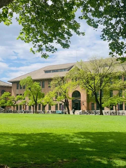 日本壳松大学_1