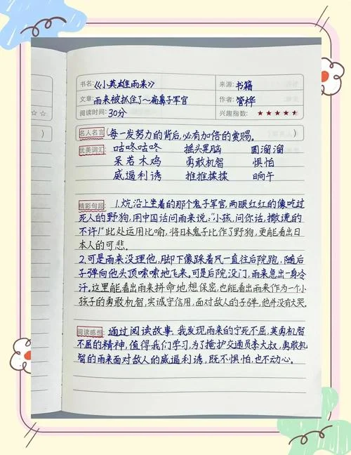 阅读理解怎么写摘抄_2
