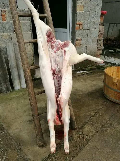 梦到杀猪啥意思呀_2