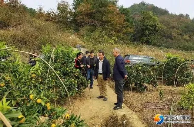 武宁至邵阳多少公里_1