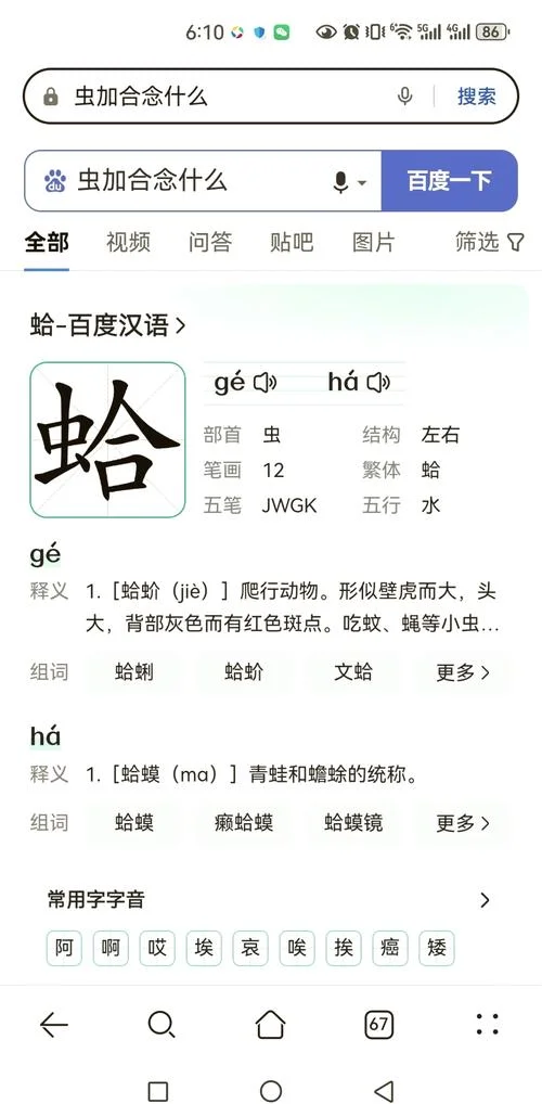 假若拼音是什么意思_1