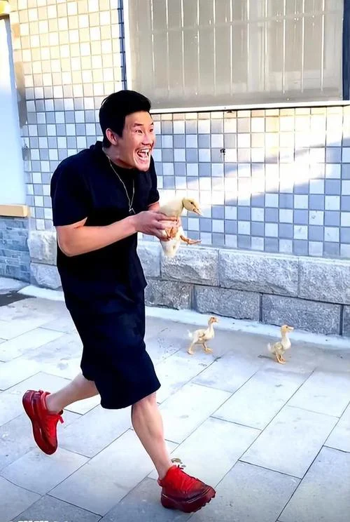 偷鸭求骂道理_1