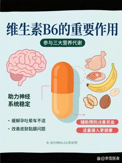 孕吐维生素b6缓解原理_1