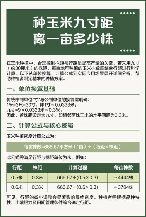 一米等于多少亩_2