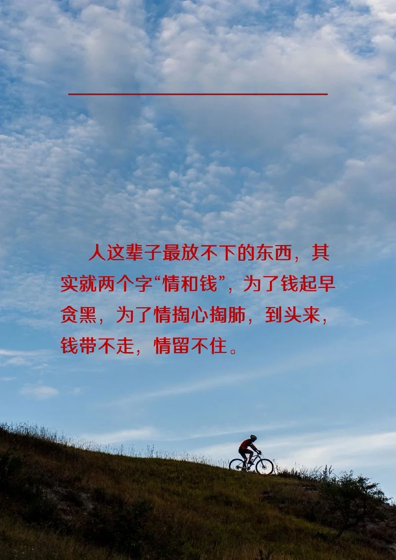我这一年的感悟_1