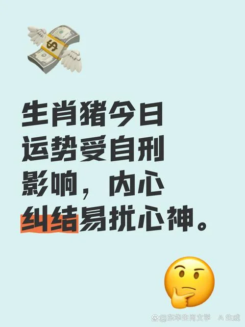 猪肖今日运势_1