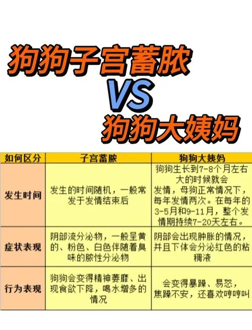 狗娘养的出处_1