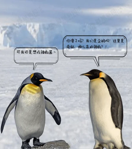 合同鹅养殖被骗怎么办_1