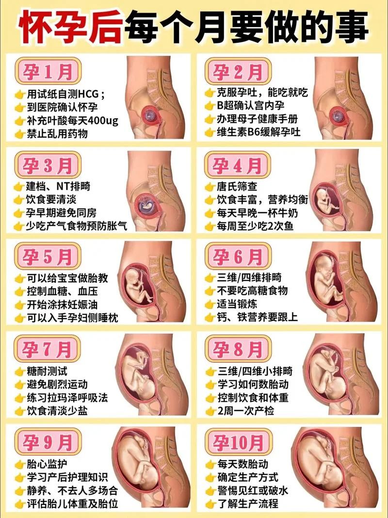如何查怀孕具体多少天_1