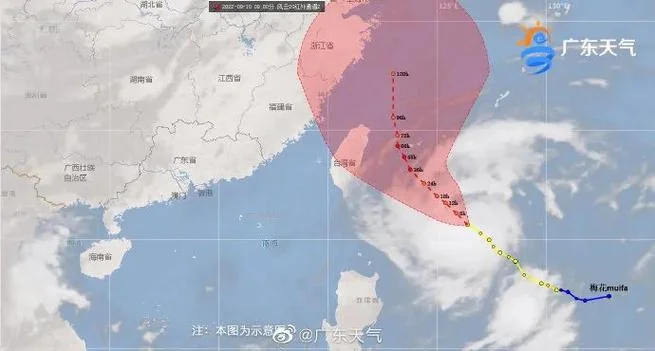 梅花台风是哪年_1
