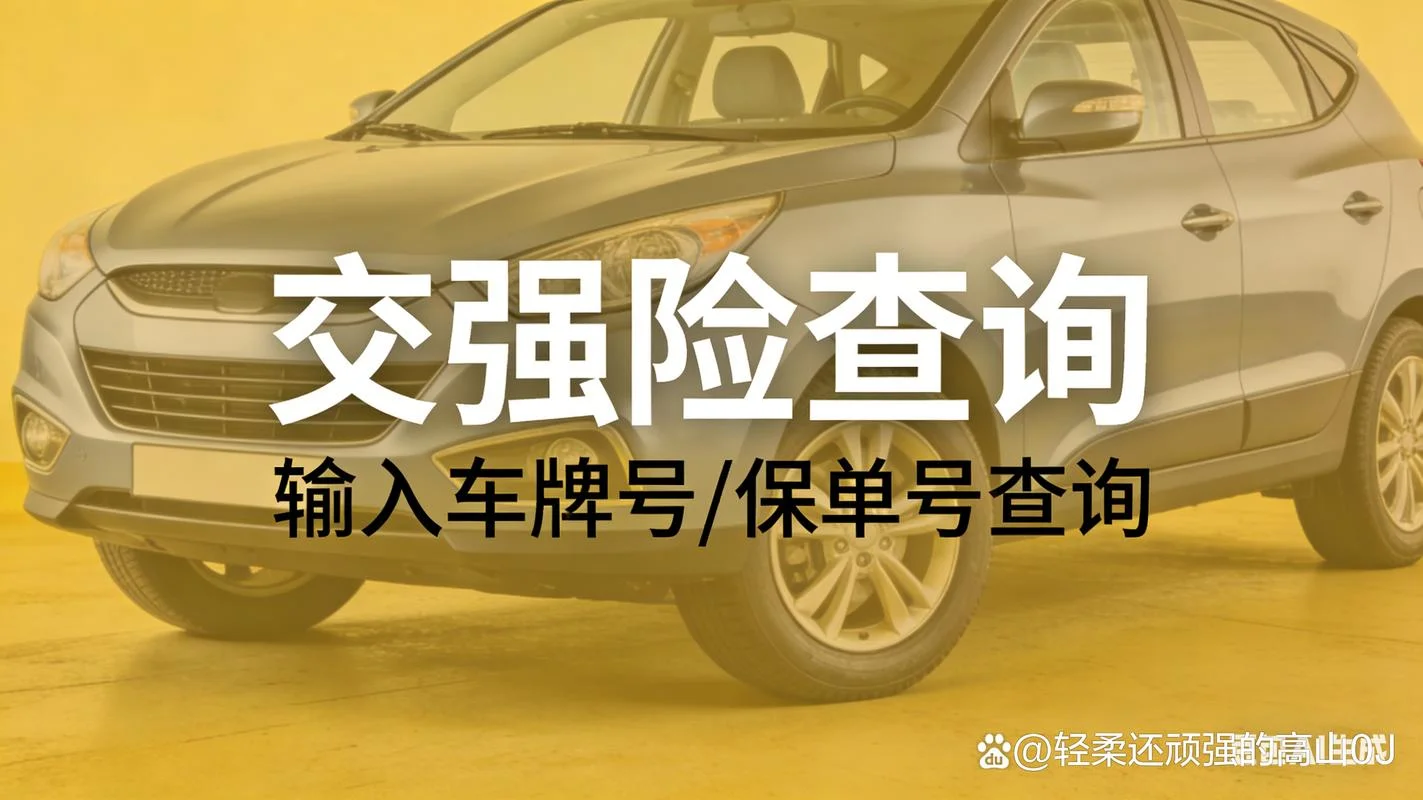 车保险交了在哪里查_2