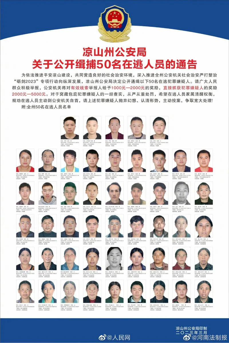查逃犯在哪个网_2