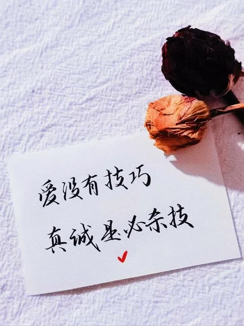 爱情观论文文案_1