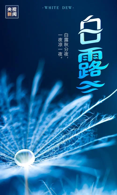 白露早安文案_1