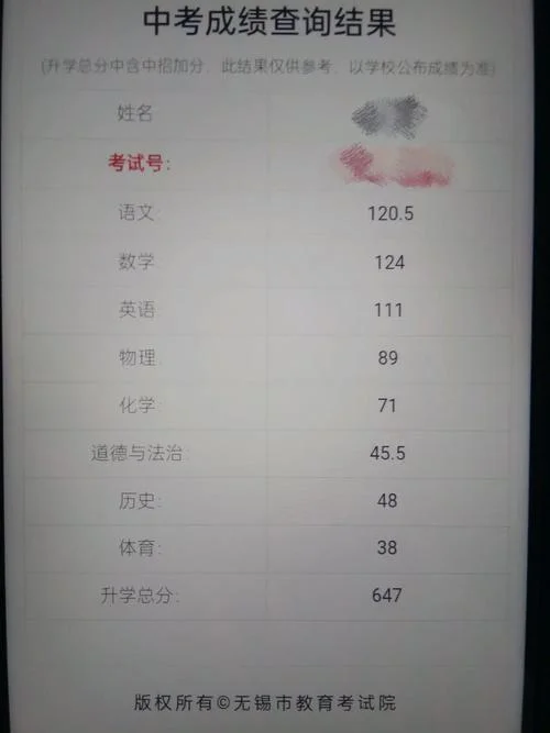 徐泾中学中考成绩_2