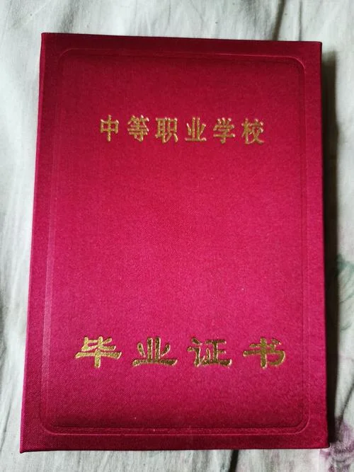 毕业证书编号哪里查_2