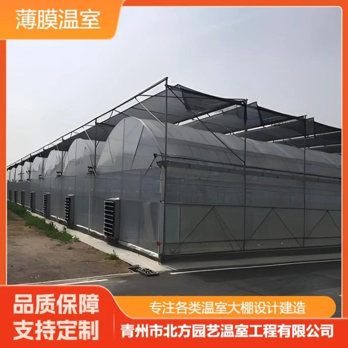 建大棚温室多少钱一亩-建温室大棚每亩造价