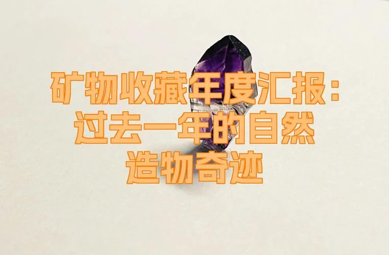 造物的奇迹感悟_2