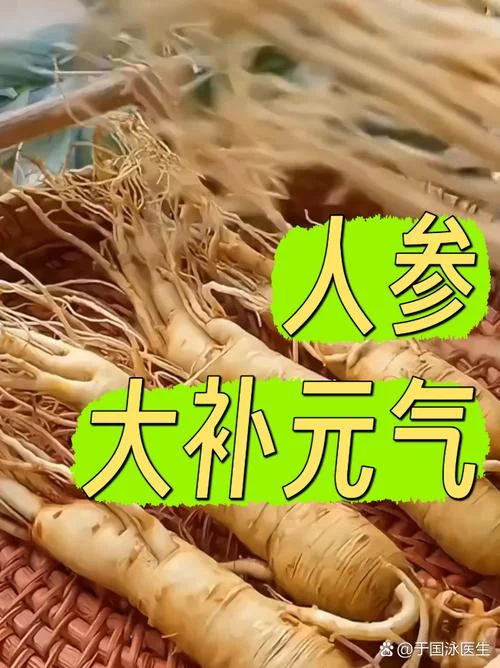 人参是补什么_2